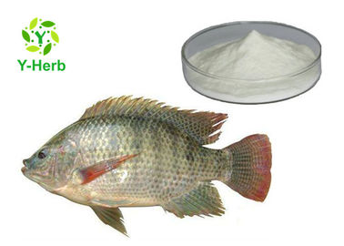 Fish Skin Scale Collagen Powder Type 2 Chicken Cartilage Collagen For Skin