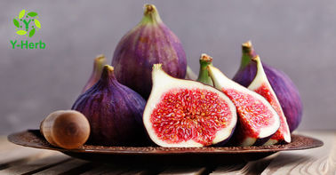 Leaf Or Dried Fig Fruit Extract Powder  High Purity Brown Fine Natural Supplement